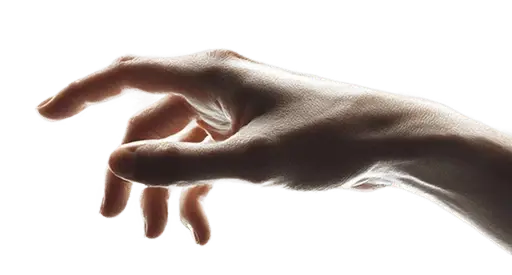 c5-hand-2